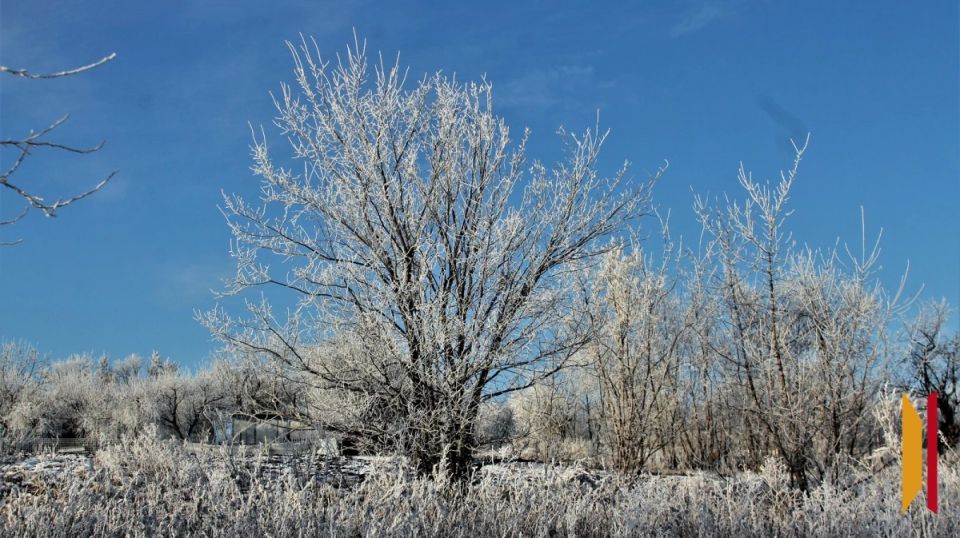 ���������� ������� �������� � ��������� ��������