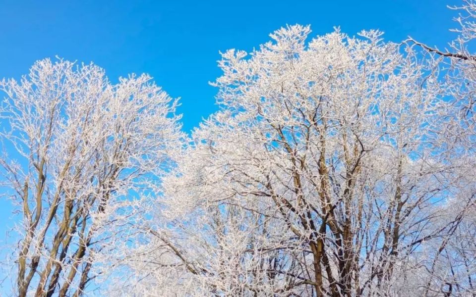 ����������� ������� ��������� � ���� ��������� ����� ����