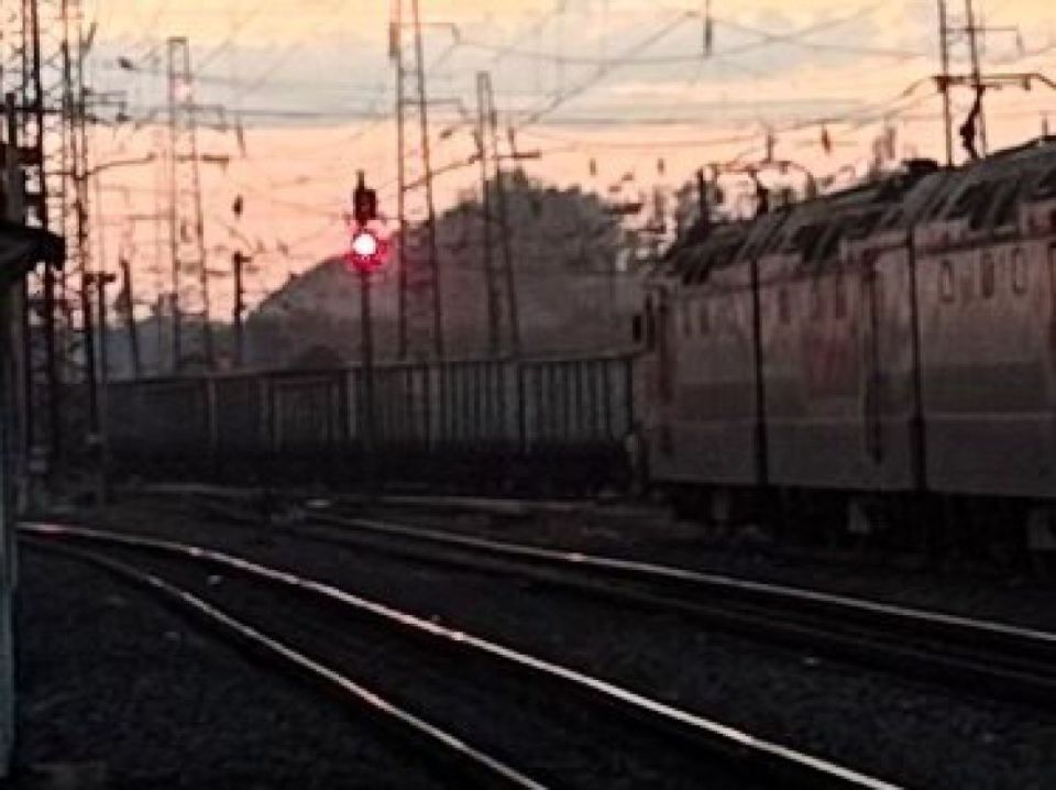 Воронежская область стала лидером в экспорте сахара в 2025 году