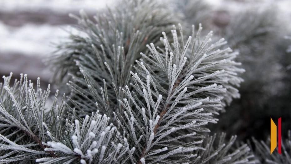 ���������� ������������ �� ��������� �������� ������