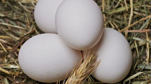 � ����������� ������� � 2025 ���� ������� �������� ����� 1 ���� ���