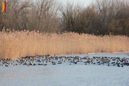 ����� � �������: ������������� �������� ����� �� ����������