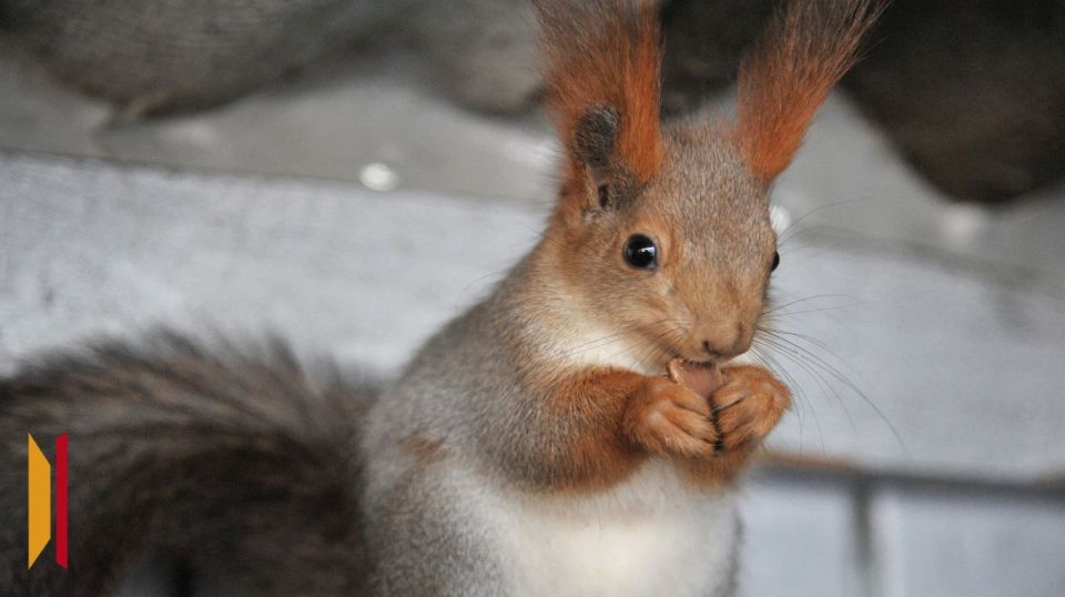 ���������� ����������, ��� ������ ������ �������� ����