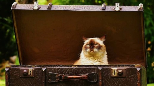 � 2025 ���� �� ������� � ����������� ����������� 295 �������� ��������