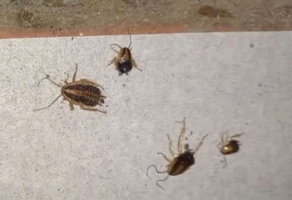 ��������� ����� ����� � ����������� ��������