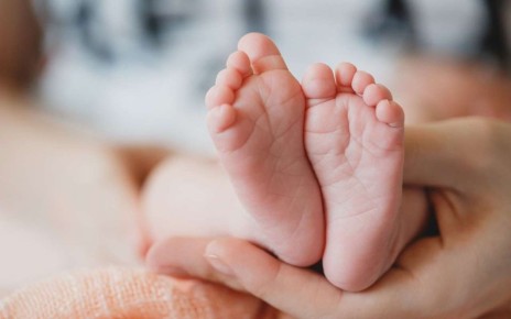 �������, ����-������� � ������ � ����� ������ � ��������� ����� ������������� � ����������� ������� � 2025 ����