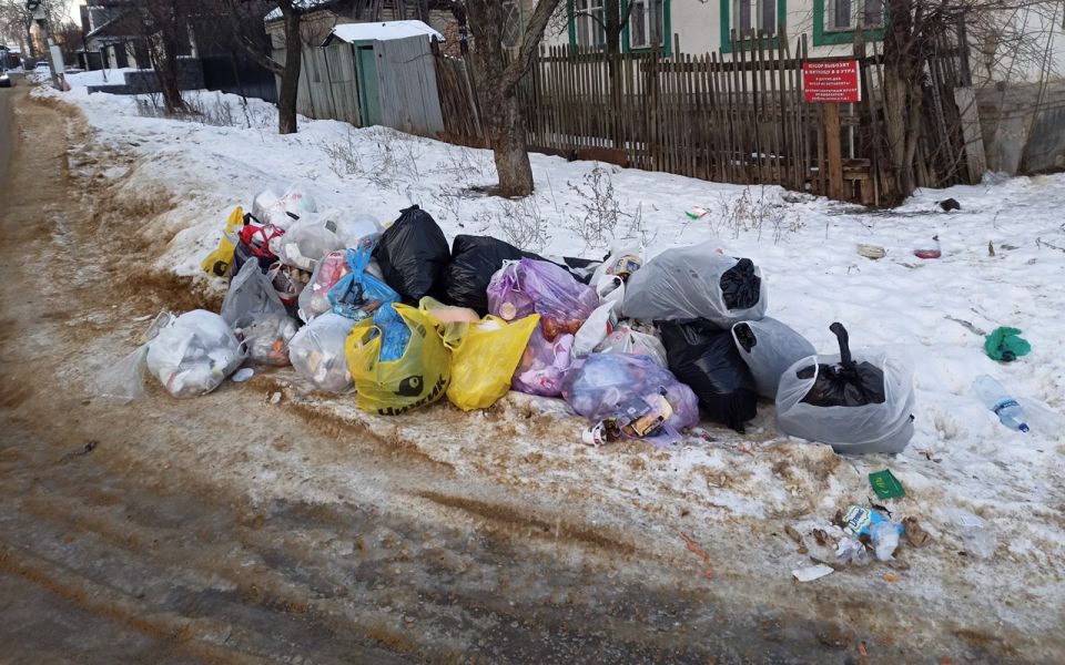 В Центральном районе Воронежа из-за неочищенных от снега дорог специалисты на протяжении пяти дней не могут вывезти мусор