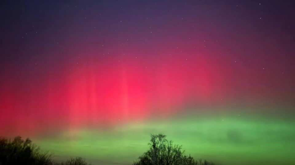 � ���� �� 20 ������ ��������� ������� �������� ������