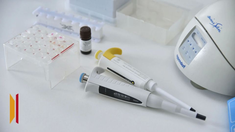 ���������� ����������� ������� ����� ����� ������ �� ����� ��������� �������� �� ���