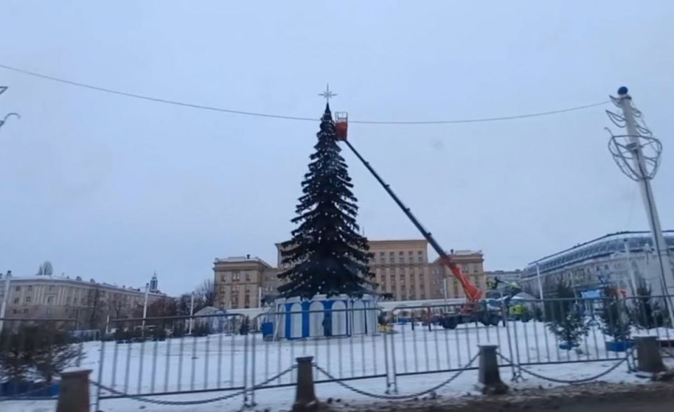 Встретимся через год: в Воронеже начали разбор главной новогодней ёлки