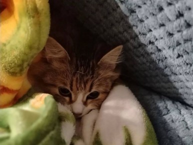 � ���������� ������ ��������� �������� ��� �����, ������� � �������� ����