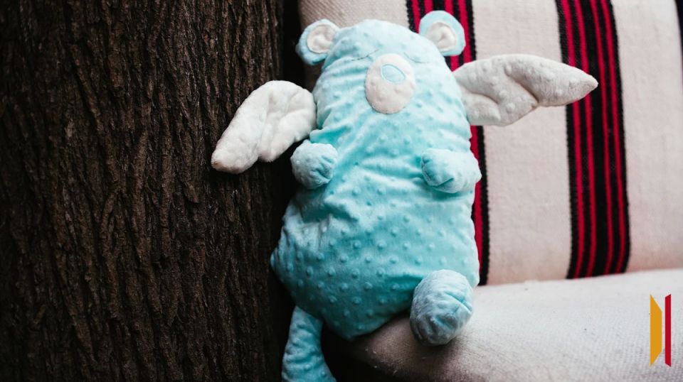 Посольство Греции готово предоставить площадку для передачи девочки из Воронежа, похищенной бабушкой