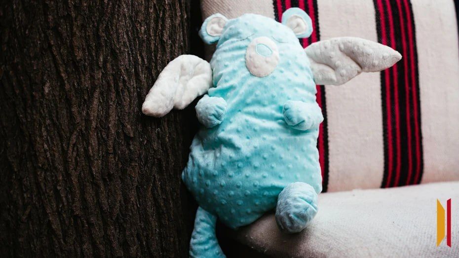 Посольство Греции готово предоставить площадку для передачи девочки из Воронежа, похищенной бабушкой