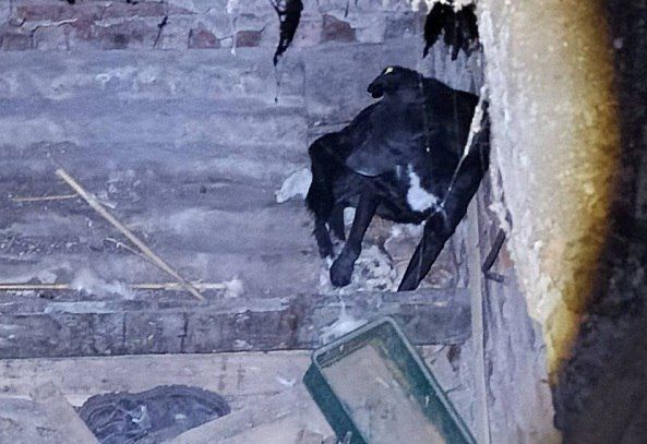 � �������� ������ ���, �������������� � ������ ������������ ����