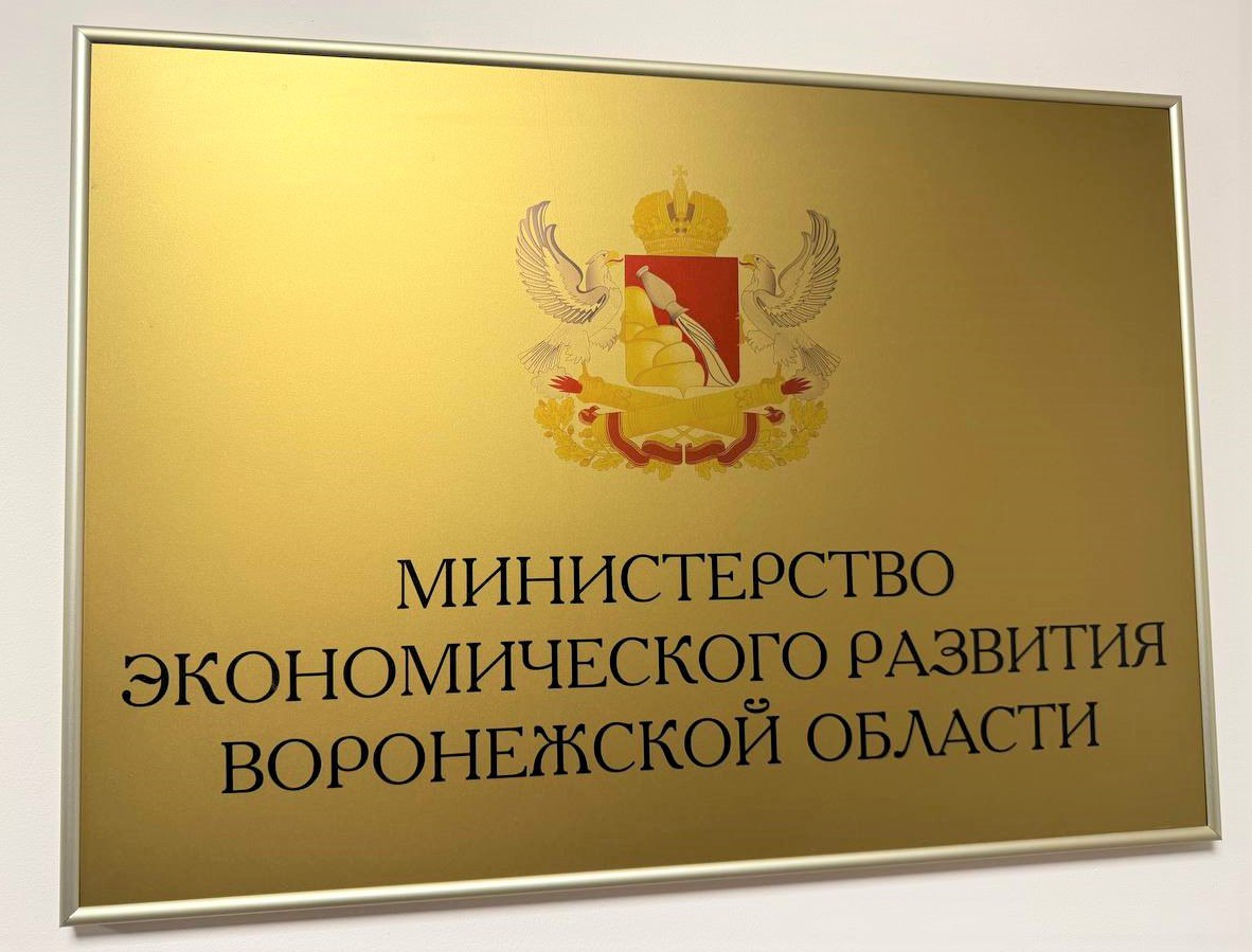 В министерстве экономического развития Воронежской области подвели предварительные итоги работы в 2025 году