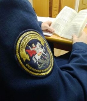 Следователями СК организована проверка по сообщению в соцмедиа о нападении бездомных собак на ребенка