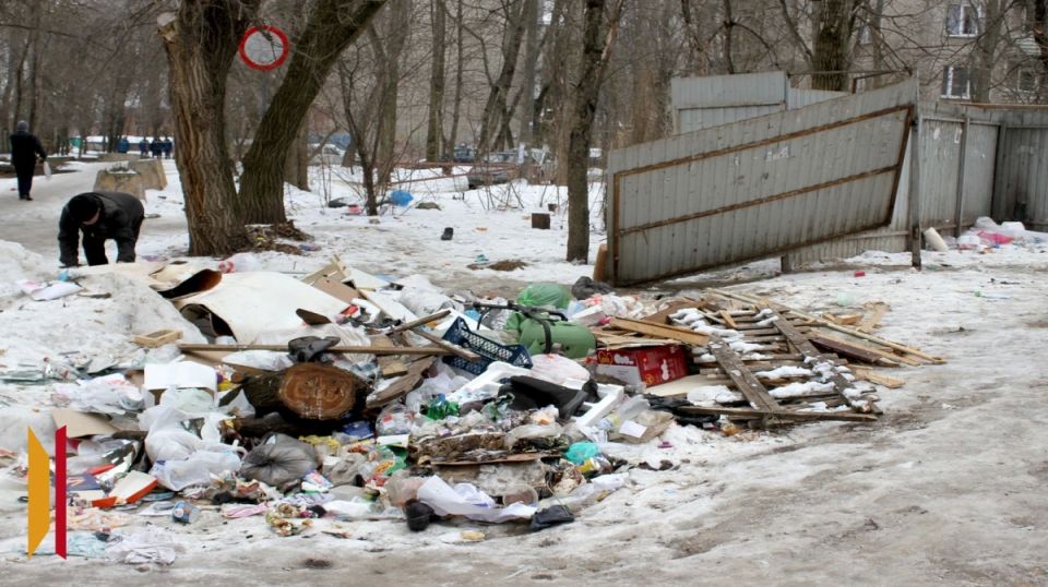 Воронежская прокуратура проверила график вывоза мусора после нападения собак на девочку в Центральном районе