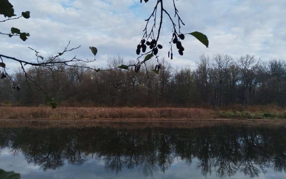 �� �������������� ������ 2025 ��� ���� ������ �� ���� ������ � ��������� ����������� ����������� �������