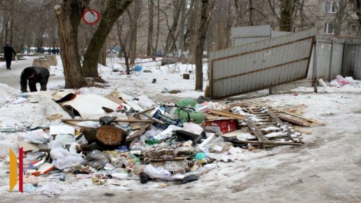 Воронежская прокуратура проверила график вывоза мусора после нападения собак на девочку в Центральном районе