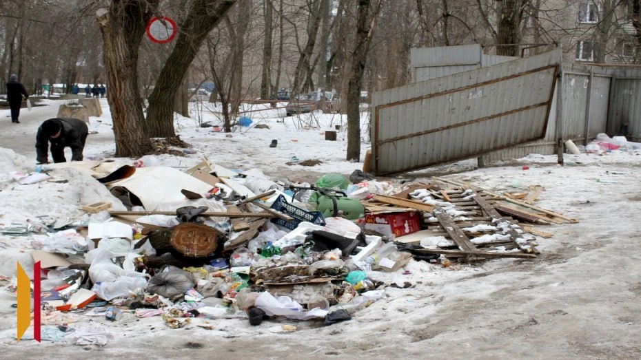 Воронежская прокуратура проверила график вывоза мусора после нападения собак на девочку в Центральном районе