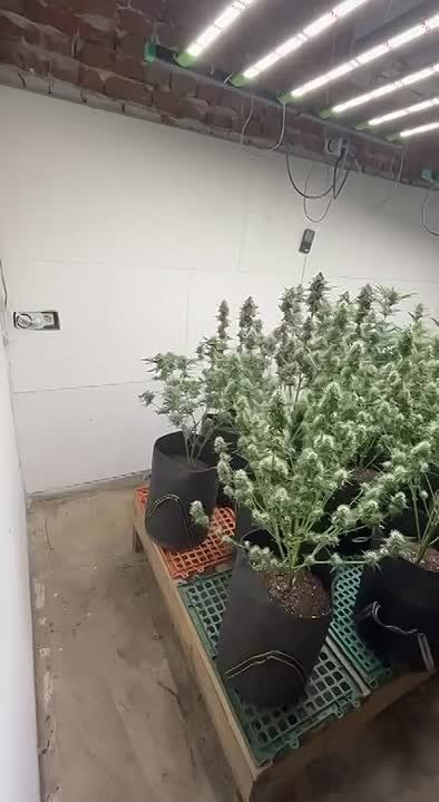 ��������� ������� �� ����������� �������