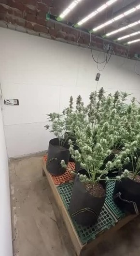 � �������� ������������ ������� ���� ����������� ��������������� ��������������� ��������