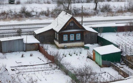 В части поселка Латная Семилукского района установят трехмесячный карантин из-за выявленного случая бешенства