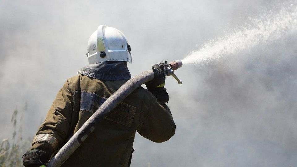 ������ ���� ���������� � ���������� ������� �������� ����� � ����������� �������