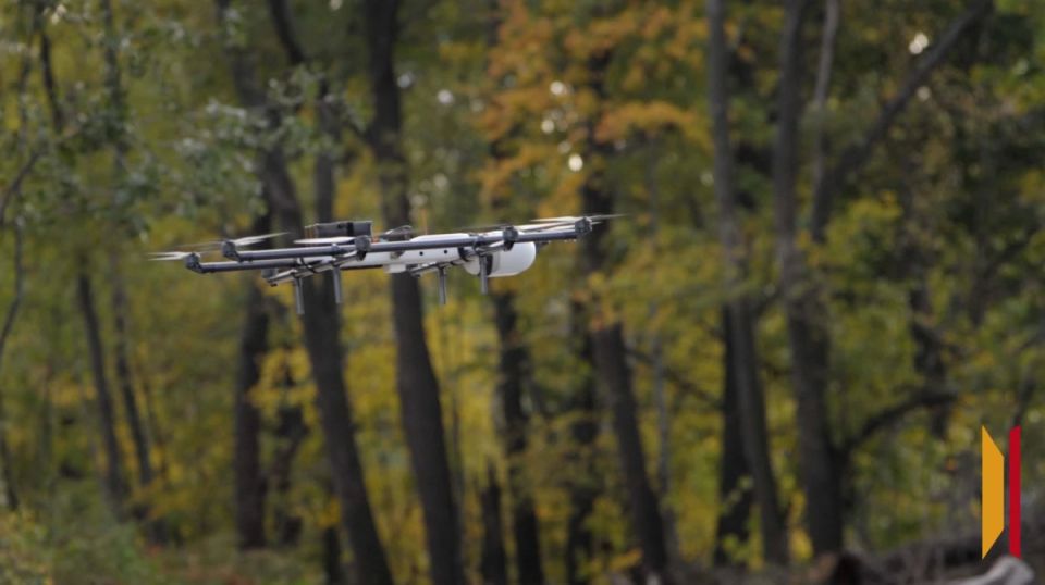 � ���������� ������� ������������ �������� �������� �����������