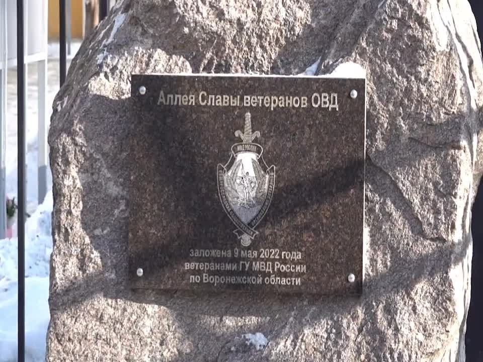 В Воронеже состоялось торжественное открытие Доски памяти Героев России