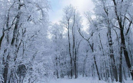 � ����������� ������� ��������� ���������� ������ � 24 �� 27 ������