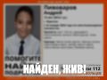 Волонтеры нашли пропавшего в Воронеже подростка