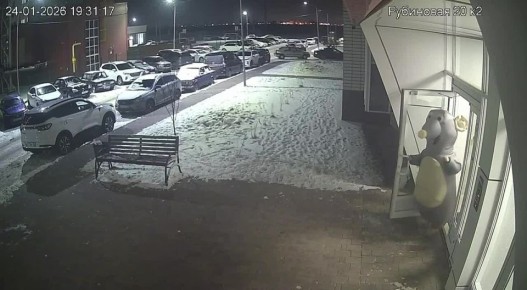 В ЖК «Черемушки» заметили огромных крыс, которые выходили из подъезда дома