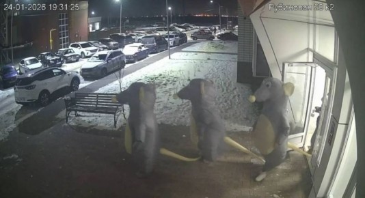 Гигантские крысы-мутанты атаковали воронежский ЖК