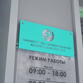 Сотрудники Госавтоинспекции передали в роддома Воронежской области детских автолюлек