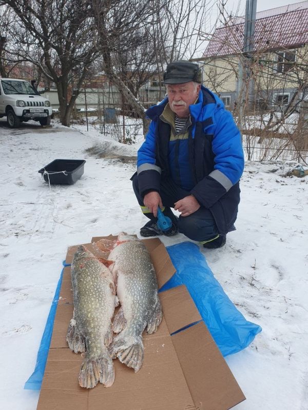 � ����� ���� ���������� ������������ ������ ����� ������ 14-������������� ����