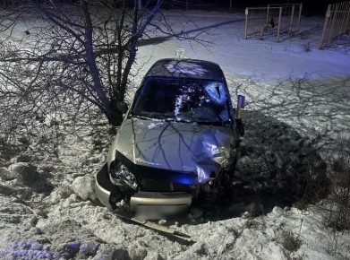 За прошедшие сутки в Воронежской области зарегистрировано 117 ДТП