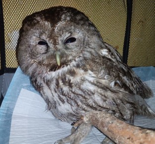 � �������� ��������� ������ ����, �������� ��� ������