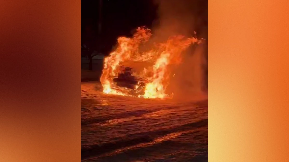 В ЖК «Ботанический сад» в Воронеже утром 27 января сгорел Hyundai