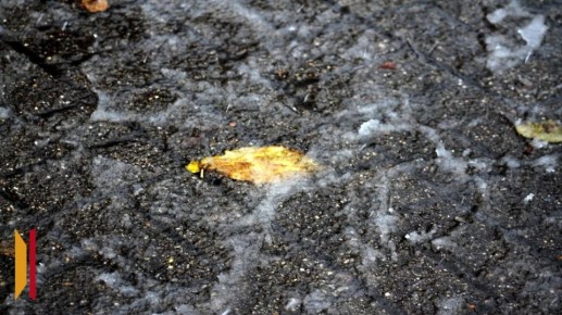 ����� ��������, ������ �� � ����������� ������� ����� ������� ������, ��������� ������