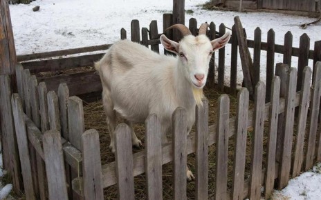 �������� �������� ������������� ��������� �� ��������� � ���� ��������� ������������� ������ ����� ������� ����