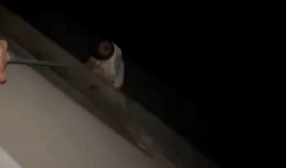 ��������� �� ����� �������� � ����� � ���������������� ������ �� ������� ������� �������� ������ � ������� �� �����