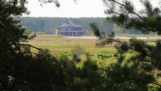 Губернатор потребовал «наступать» в сносе особняка на берегу Усманки в Воронеже