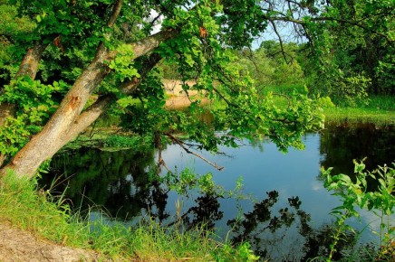 В Воронежской области загрязнение водоёмов снизилось на 30%