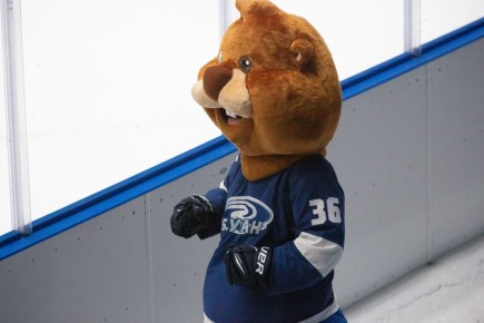 Воронежский «Буран» проиграл дома воскресенскому «Химику»