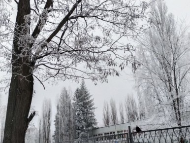 ������� � ������: ����� ������ ���� ������� ����������� ������� � ��������