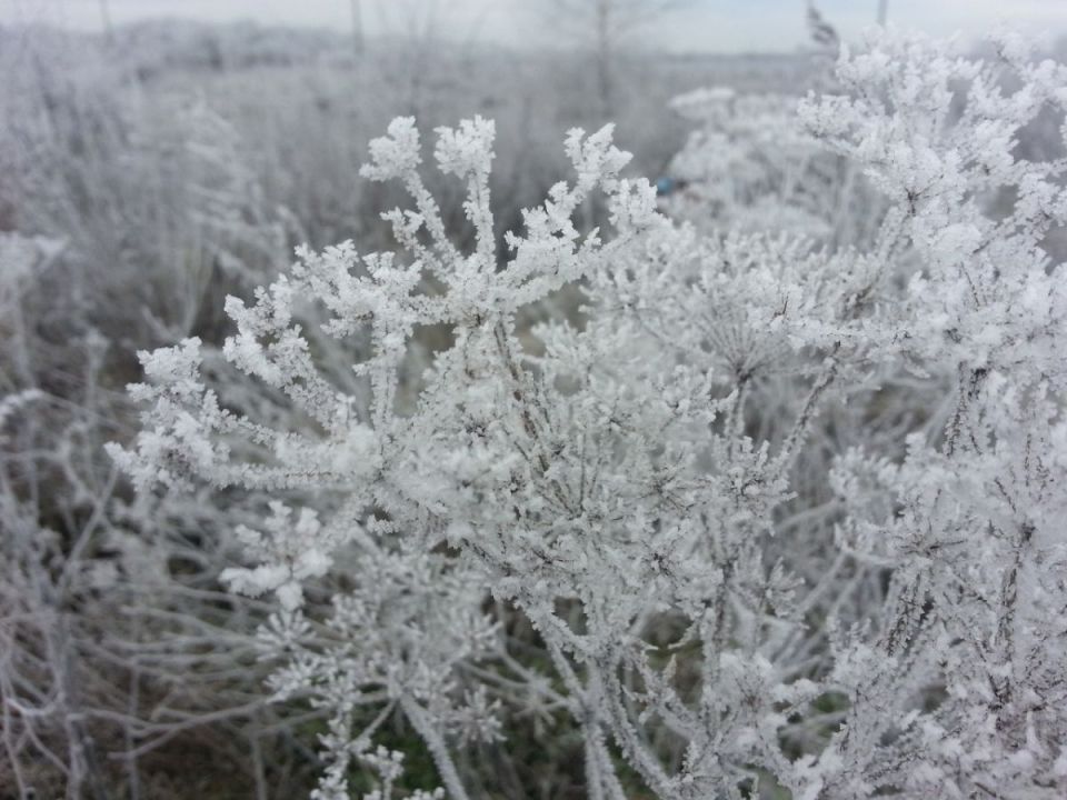 �������� ���������� � ����������� ������� �� ����������� ����