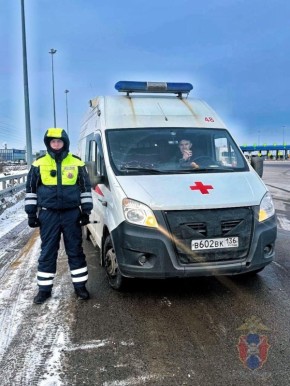 Воронежские полицейские помогли водителю с ограниченными возможностями, которому стало плохо за рулем