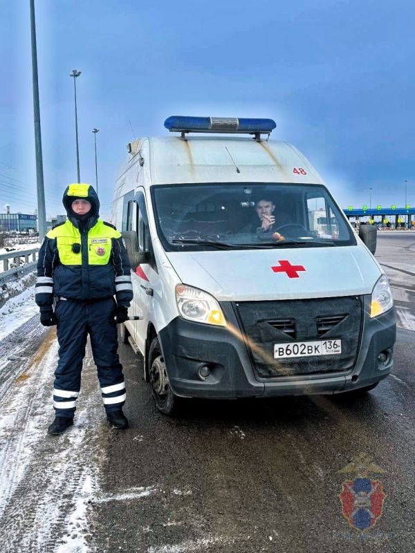 ����������������� ������� ������ �������� � ������������� �������������, ������� �� ����� ������������ �����������