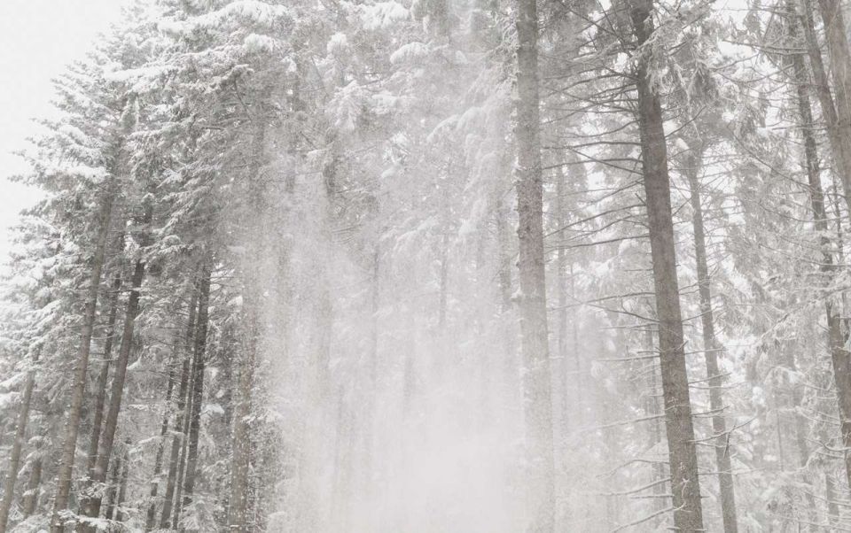 � ����������� ������� �������� ��������� ������� �������� ���������